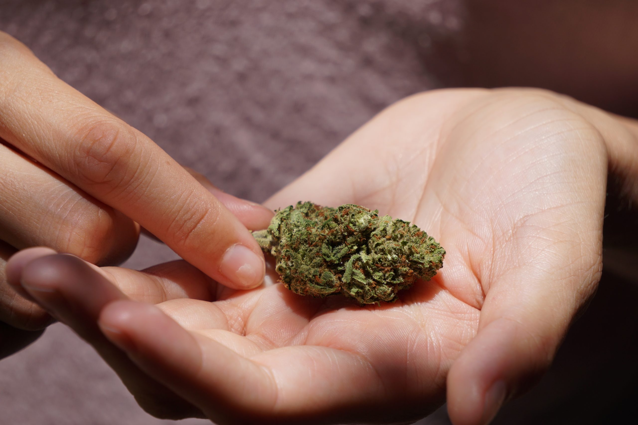 Top 7 Benefits of a Weed Delivery Service