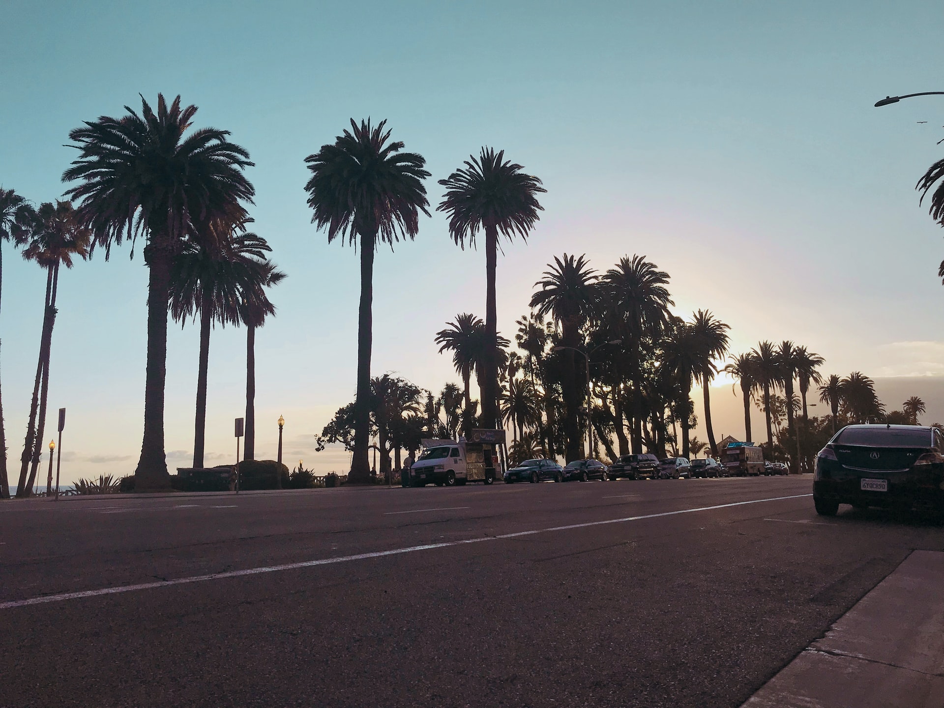Palm tree lined street during sunset