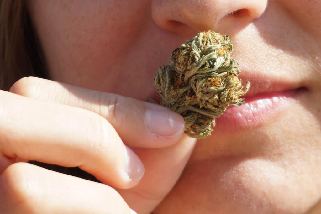 Woman smelling marijuana flower