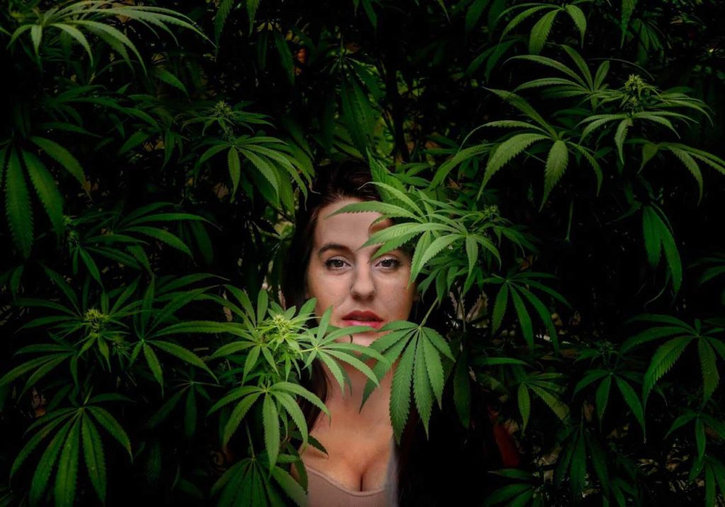 A woman stands amongst a thicket of marijuana plants