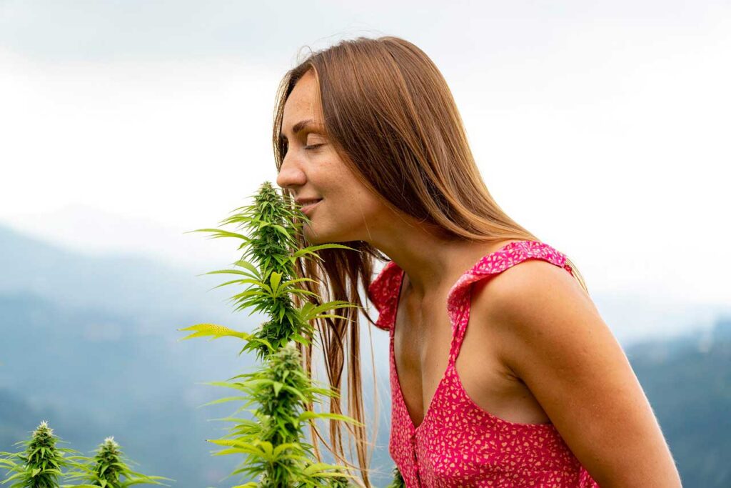Woman smelling live cannabis.