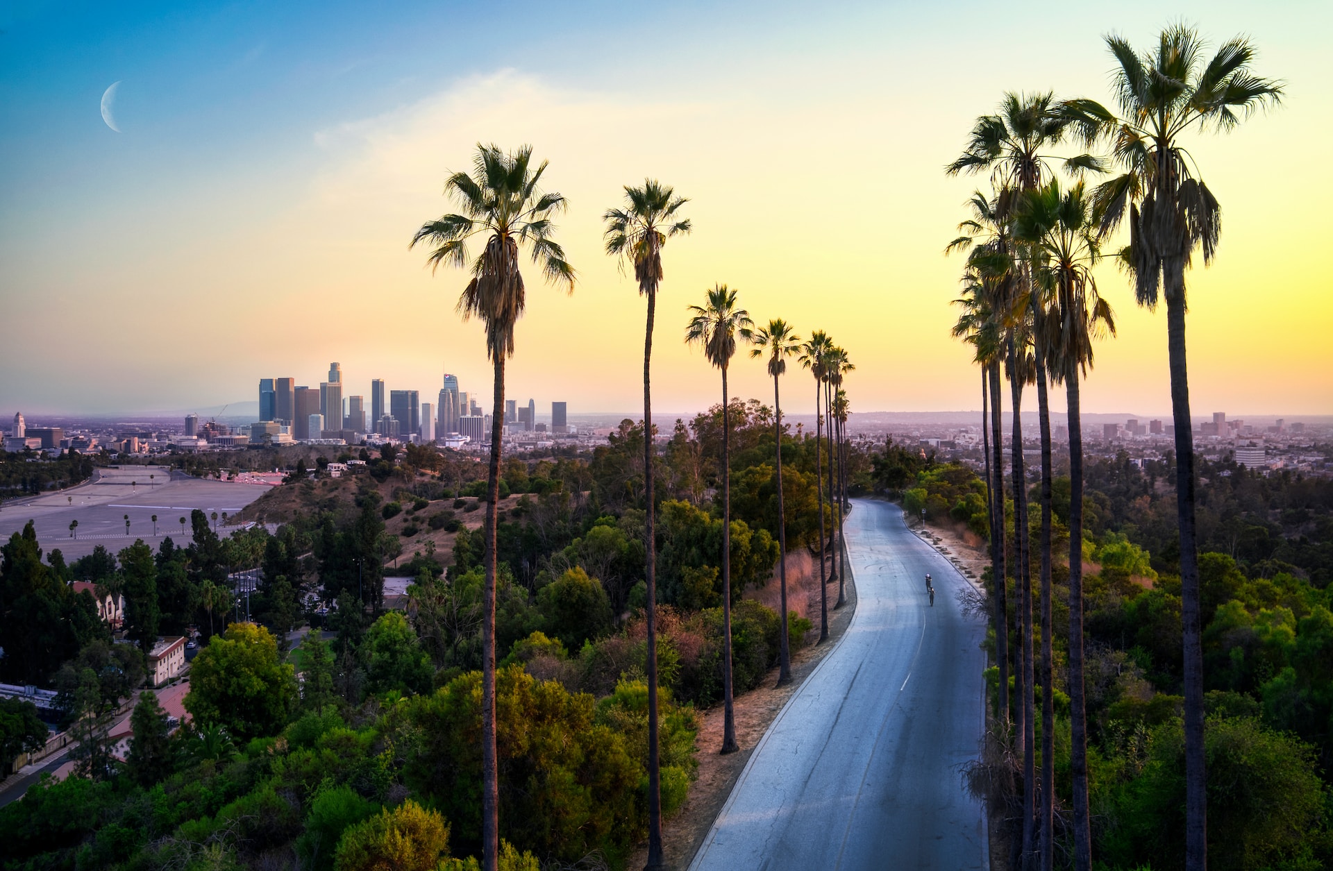 Tree-lined street outside of Downtown LA, overlooking LA skyline