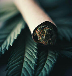 cannabis pre roll