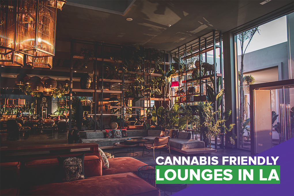 Best Cannabis Lounges Los Angeles: Our Top 3 Picks