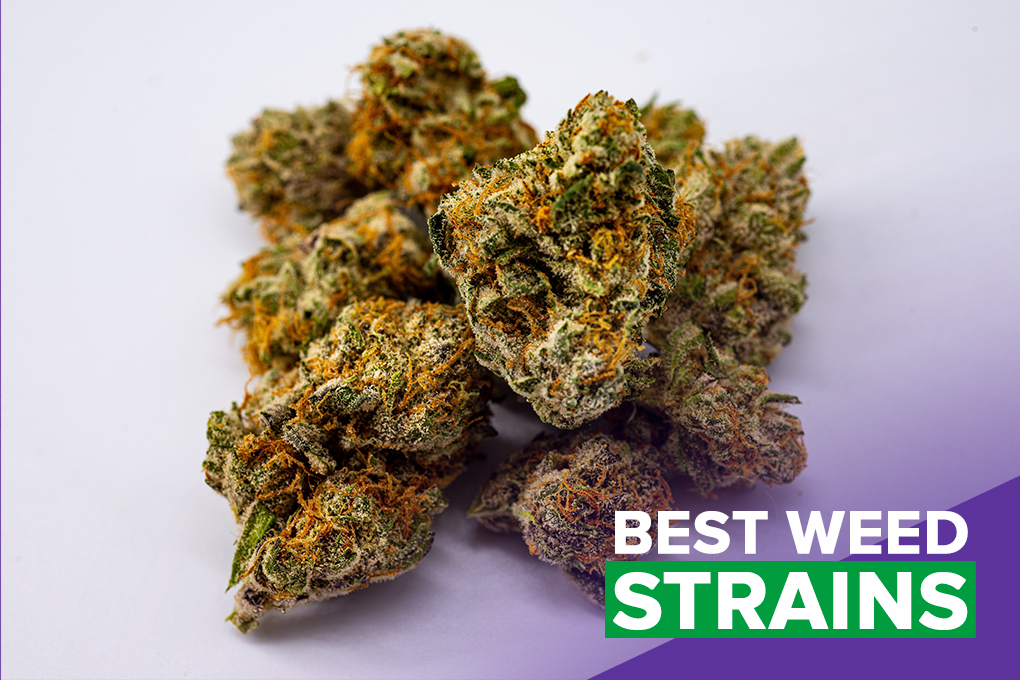 Best Weed Strains in California