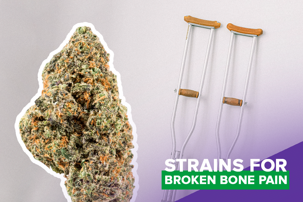 Best Strains for Broken Bone Pain