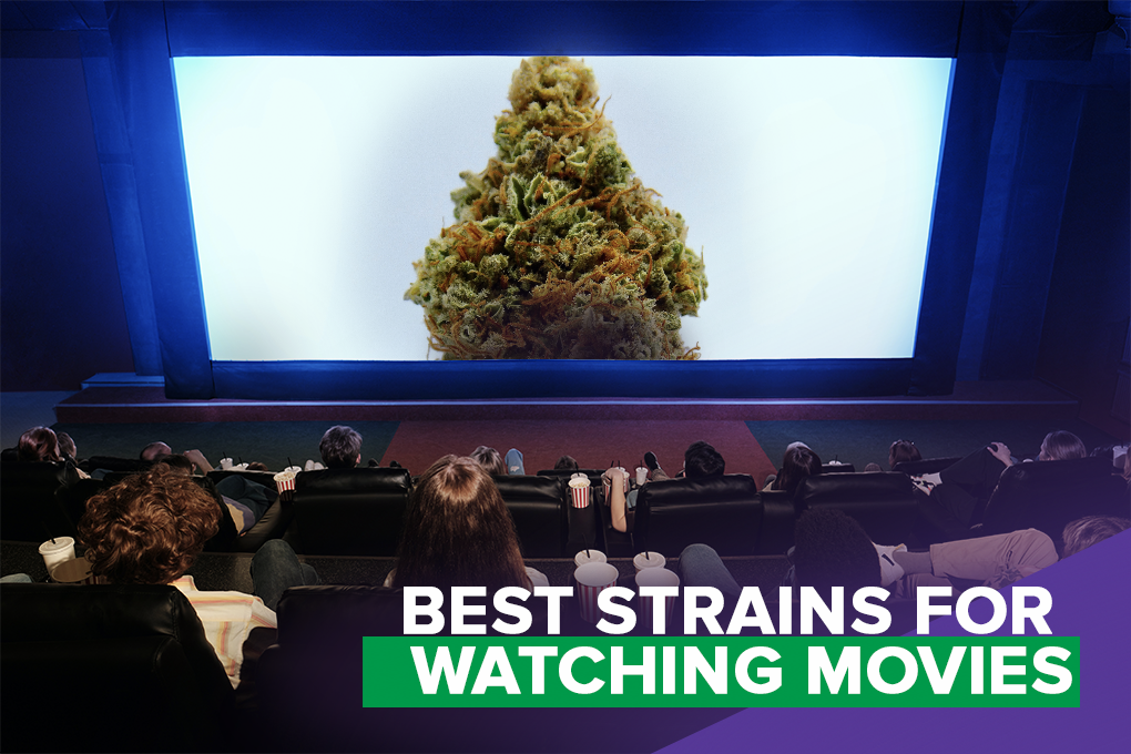 Best Strains for Watching Movies